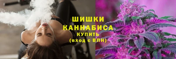 эйфоретик Баксан