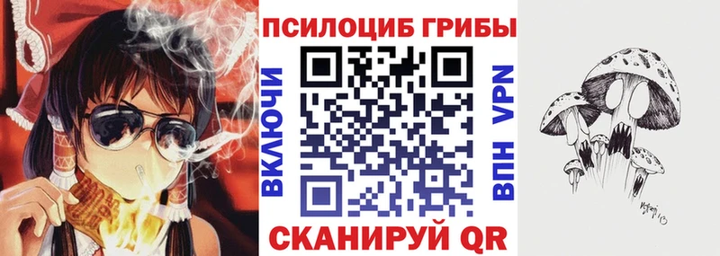 Псилоцибиновые грибы Cubensis  где продают   Семикаракорск 