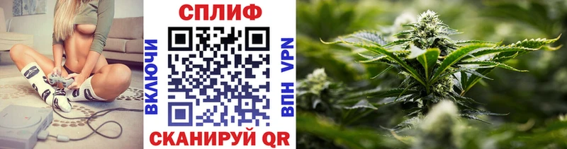 где продают   блэк спрут как зайти  Каннабис сатива  Семикаракорск 